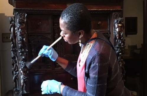 A woman wearing blue protective gloves cleaning a historic detailed wooden cabinet with a soft paintbrush"