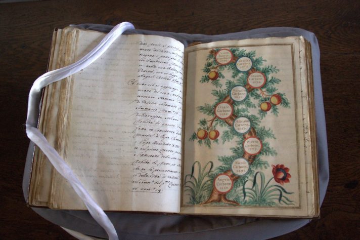 A book lies open on a book pillow. The right-hand side page presents a beautiful illumination consisting of a family tree. This is represented as an actual tree with fruits on its branches and flowers around its base; on the trunk, there are white circles containing the names of Borgia’s ancestors.