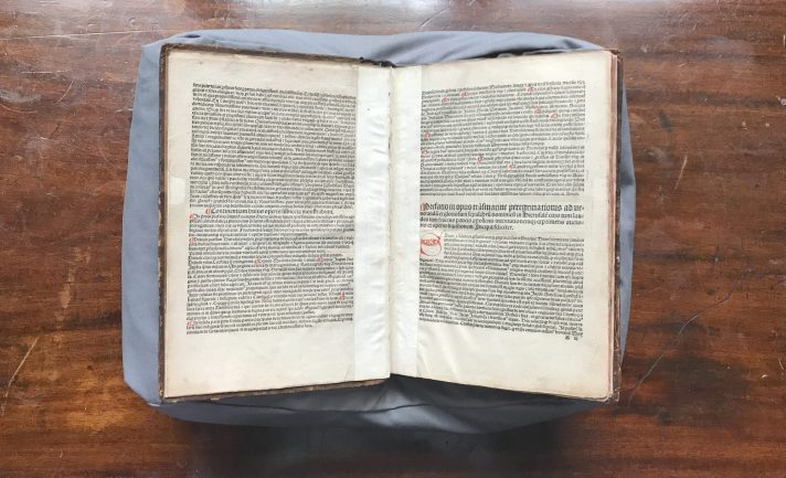 The book of the 'Peregrinationes' is open to its opening pages, presenting the printed text and a red hand-made initial.