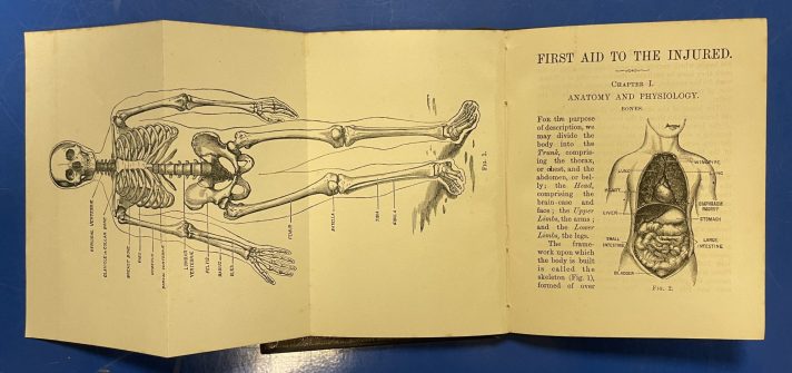 A small book lies open on a blue metal table. The right-hand page has some text from a chapter on anatomy and physiology, accompanied by an illustration of the organs within a human body. The page on the left is double the size of the right-hand page; it has been folded out, and it has an illustration of the human skeleton with identifications of key bones in the body. The text is in a small, black, serif font.